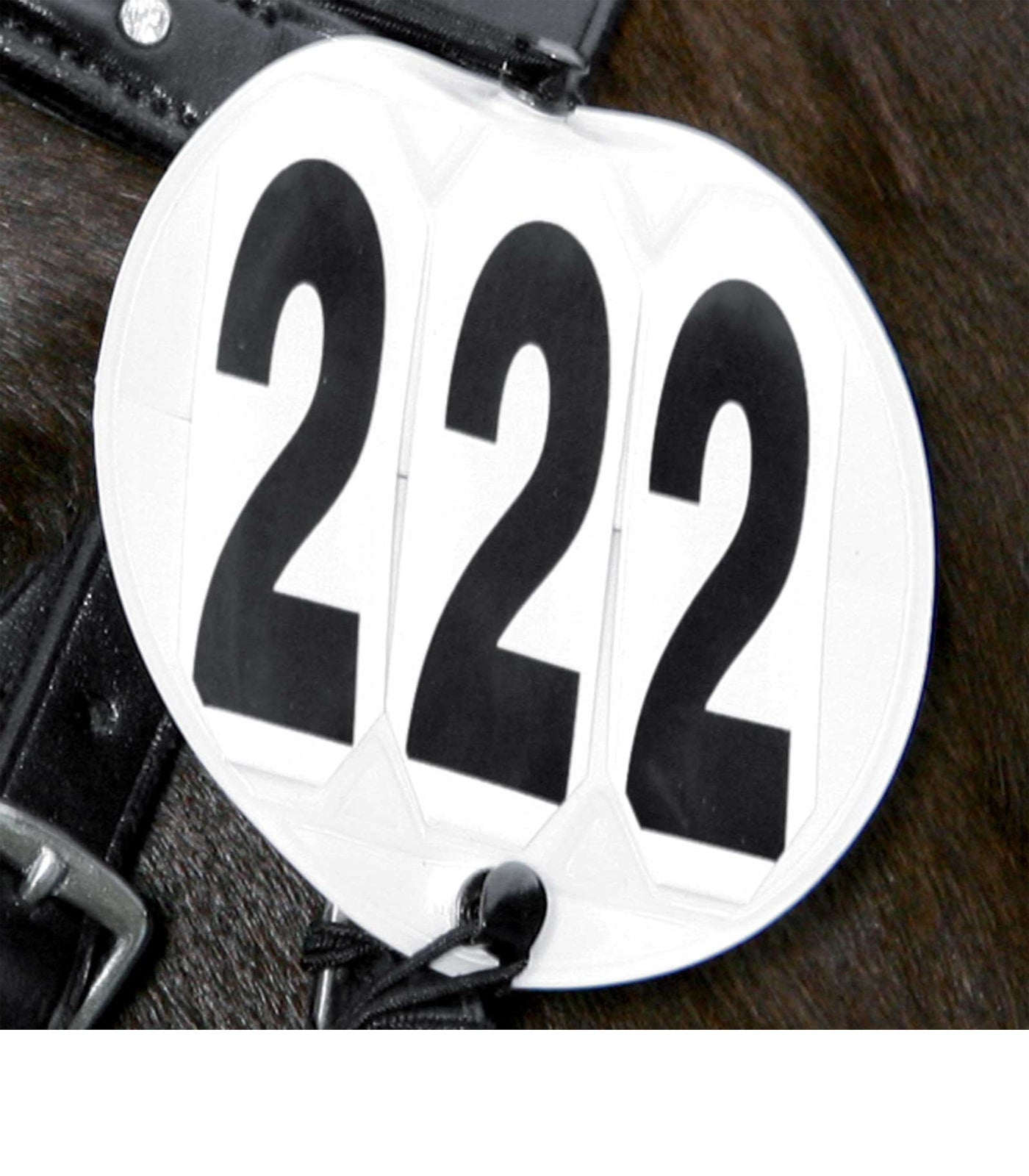 Round Head Numbers