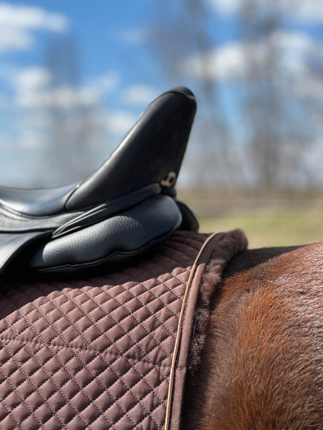 Limited Sheepskin Pad - Brown
