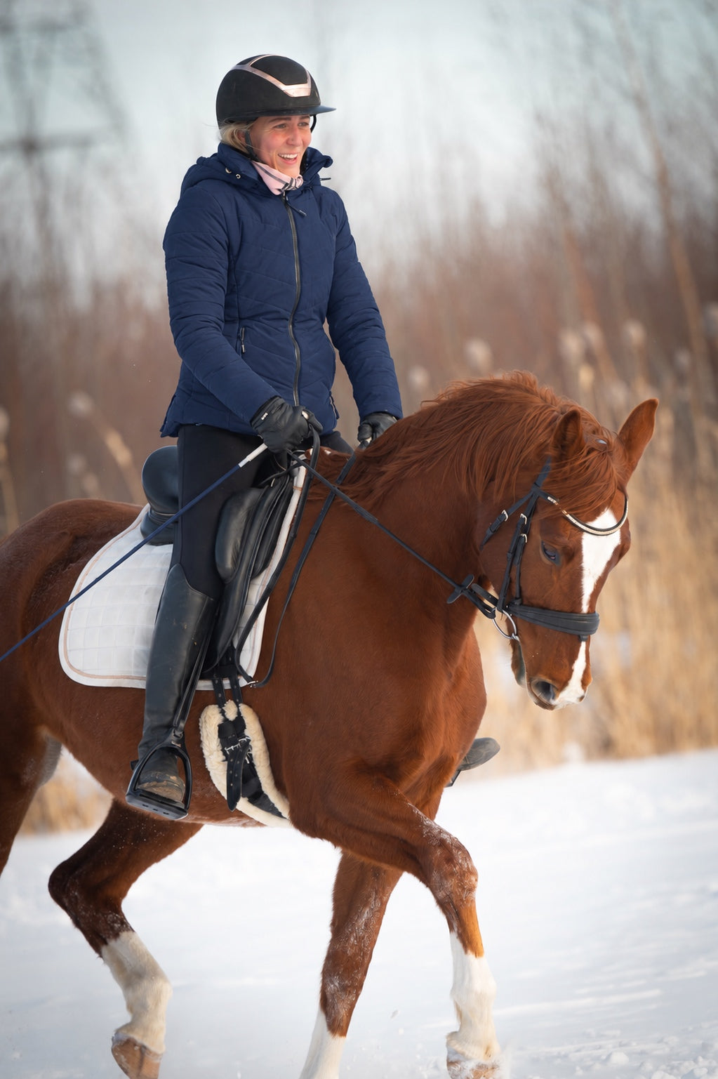 Aspen Winter riding jacket