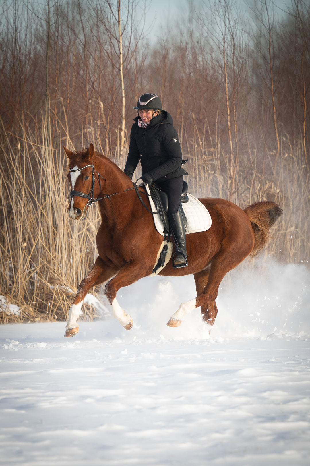 Aspen Winter riding jacket