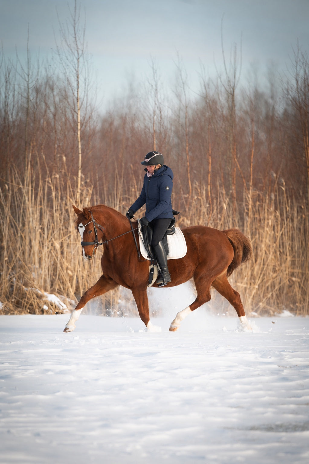 Aspen Winter riding jacket