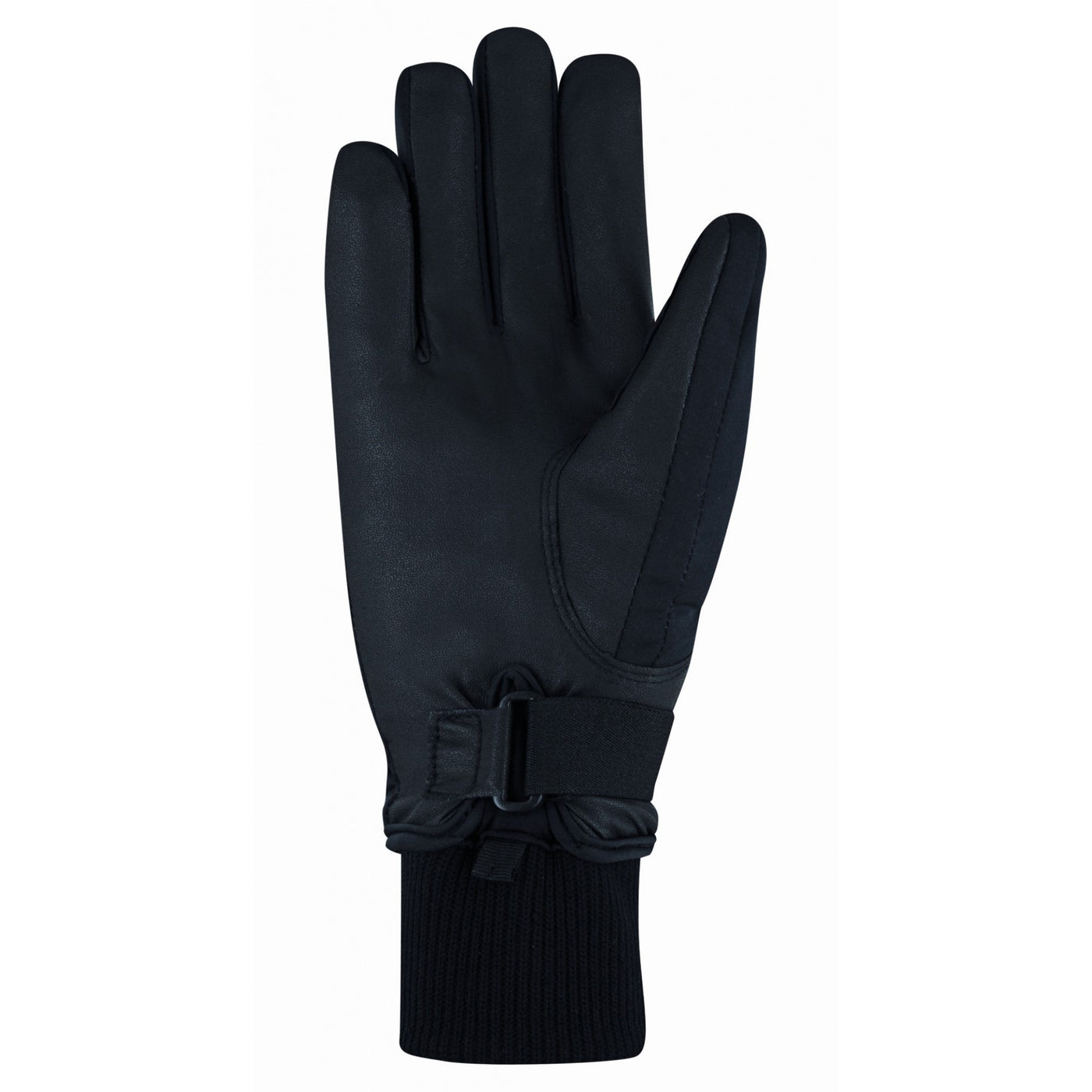 ROECKL WYNNE WINTER UNISEX GLOVE