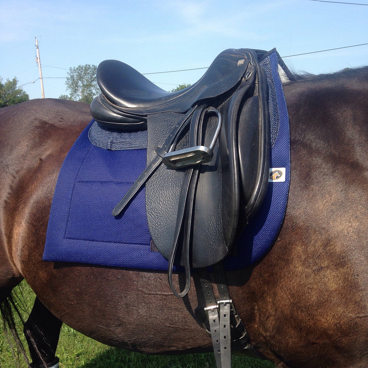 Calmatech Dressage saddle pad - Leveza