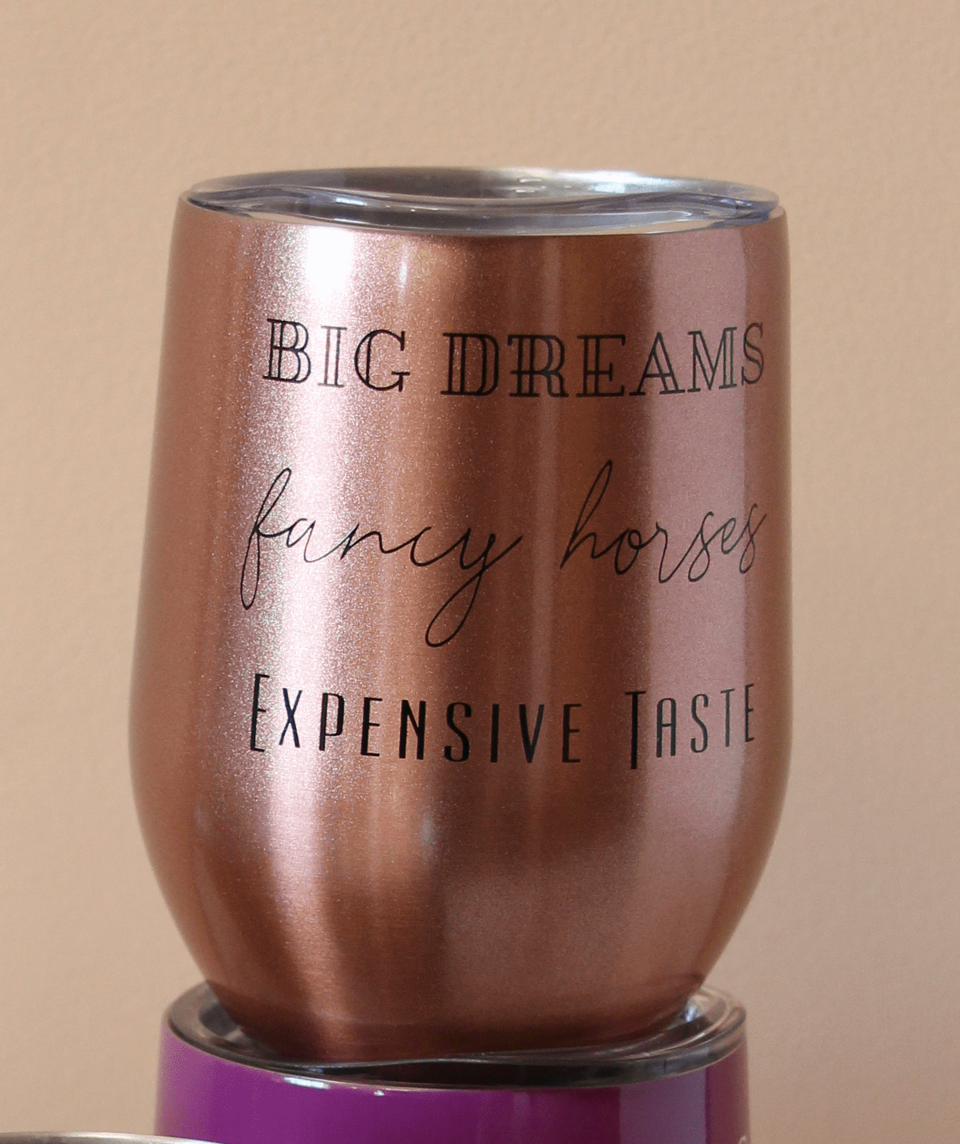 Big Dreams, Fancy Horses, Expensive Taste Insulated Cup