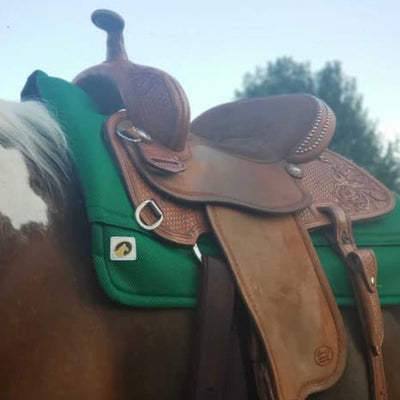 Ecogold Calmatech Western High Performance Saddle Pad