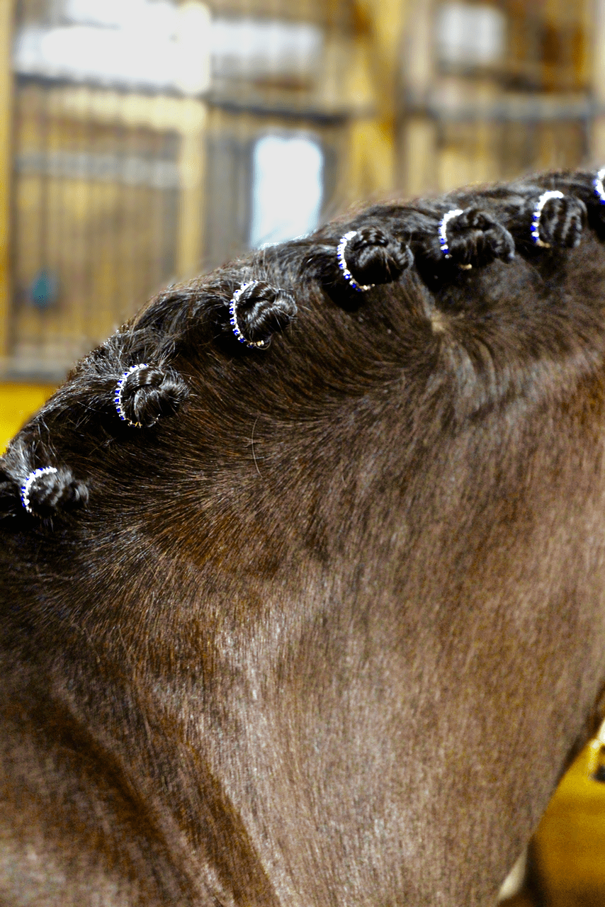 Braid Blings - Leveza