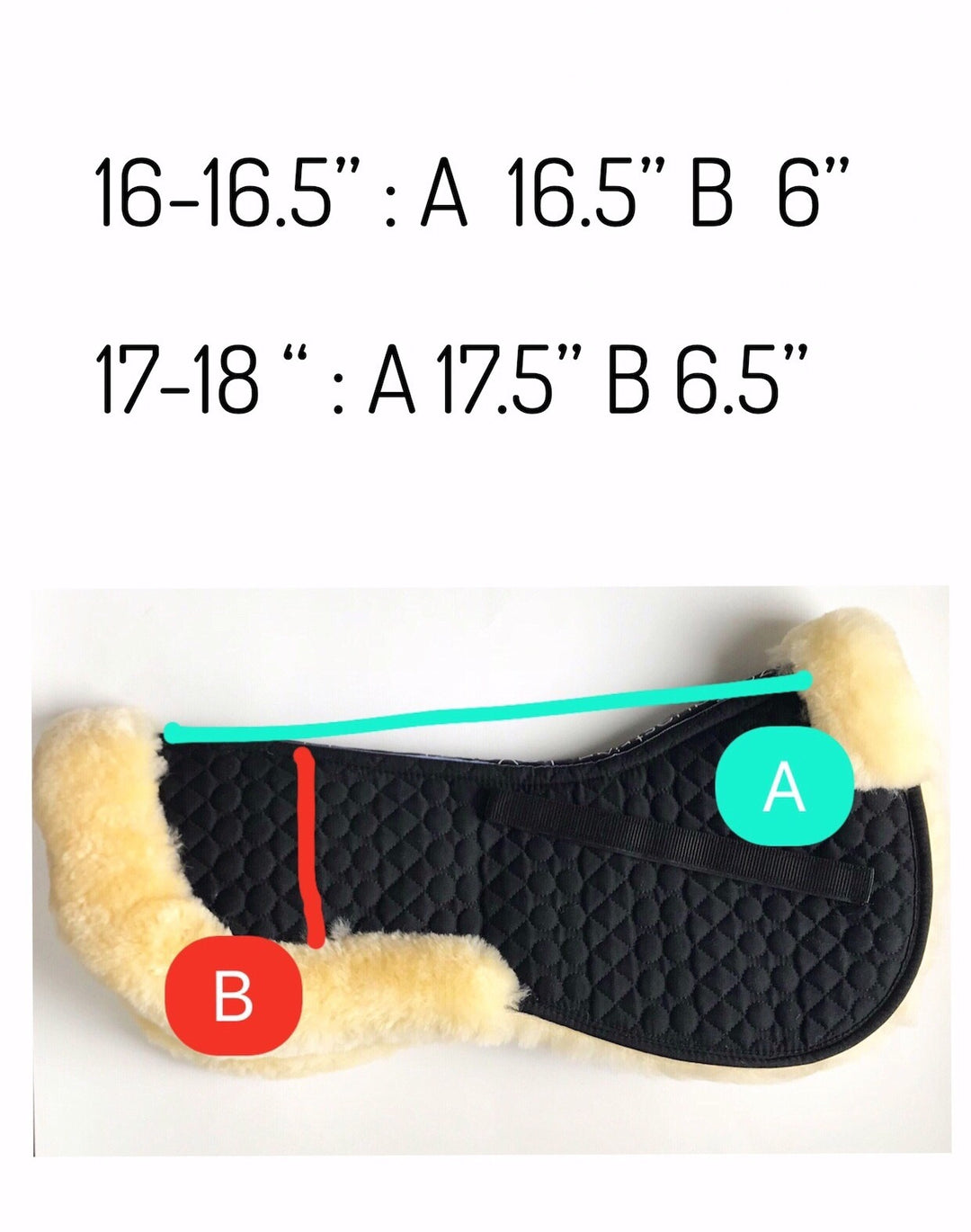 Ovelha Black - Leveza